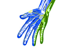 Peripheral Nerve Repair